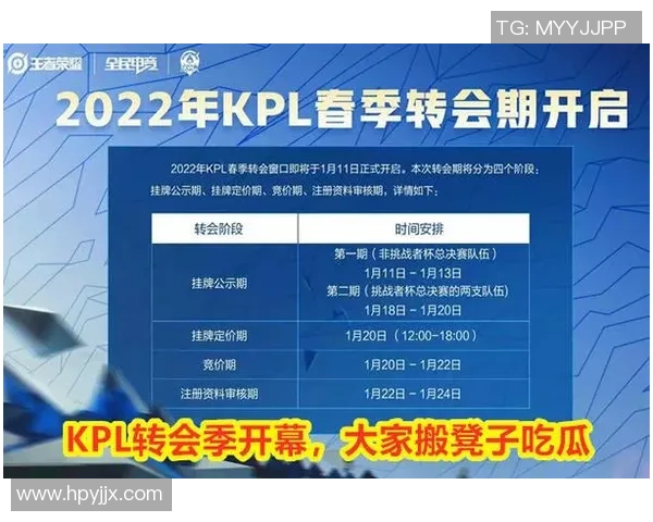 V5战队边路渗透策略分析及其在比赛中的成效与不足之处探讨