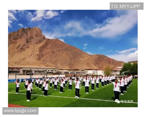 堆龙足球：探索这项运动如何在年轻人中激发热情与团结精神